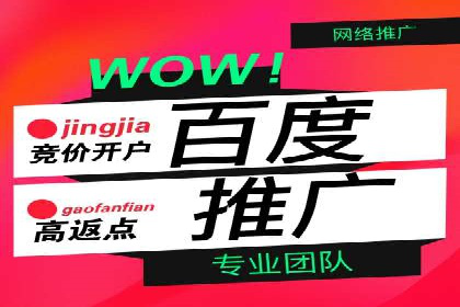 百度推广运营实战经验分享：案例解析与策略
